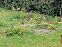 Les Jardins d'Helya