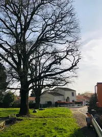 Sw Élagueur Saint-herblain Jardinier Paysagiste 44 Taille de Haie