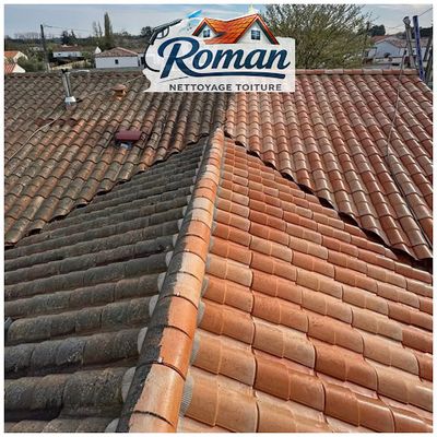 Roman Nettoyage Toiture Artisan Couvreur