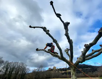 Rémy M. Chevillet Arboriste Élagueur