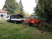 Arbre Ambulant Nicolas Favreau