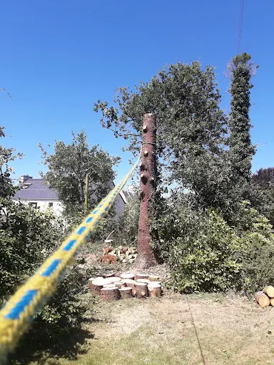 Au Phil de l'Arbre
