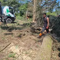 Landes Élagage Services