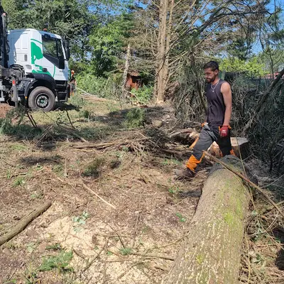 Landes Élagage Services