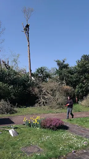 Jardinier Dhont Père et Fils Elagueur Eure 27