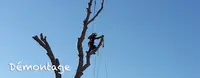 Elagage - Evasion et Verticales