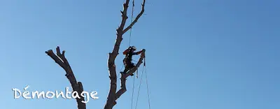 Elagage - Evasion et Verticales