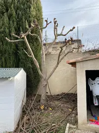 Ets.roussange ( Paysagiste, Jardiner, Service d'Élagage )