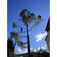 La Main Verte Paysage