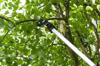 Des Arbres et des Cordes Sarl