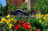 Denis le Jardinier