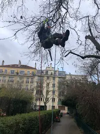 Les Bûcherons de Paris