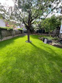 Vert Demain Par Clément Lasfont - Jardinier Paysagiste À Brunoy