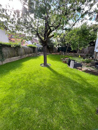 Vert Demain Par Clément Lasfont - Jardinier Paysagiste À Brunoy