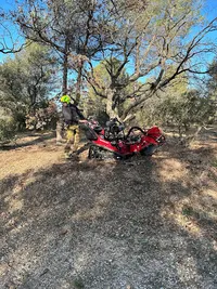Silvasud Élagage