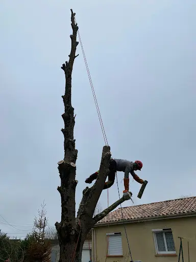 Servat Elagage