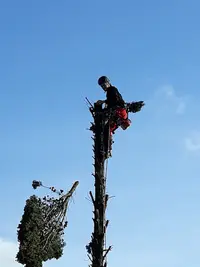 Acrobatique 33