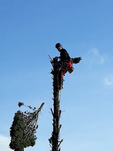Acrobatique 33