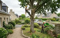 Élagage et Abattage Caen les Arbres en Fleur