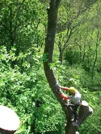 En Bout de Branche