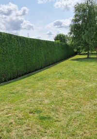 Coupin Jardin