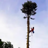 Elag Pro - Arboriste Grimpeur