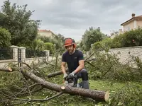Élagage, Abattage & Taille de Haie Cannes - Élagueur Grimpeur Alpes Maritimes 06