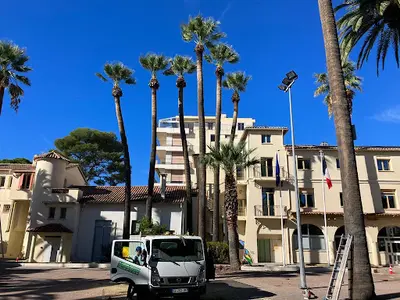 Elagueur Azuréen Cannes