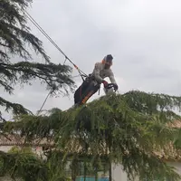 Eco Elagage