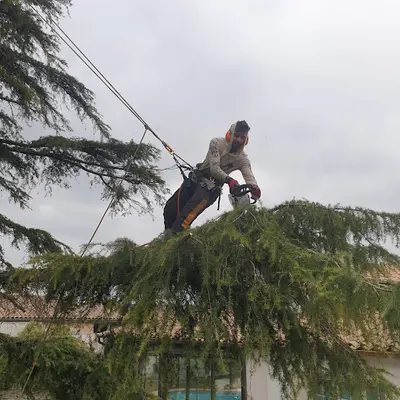 Eco Elagage