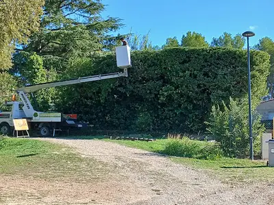 David Espace Vert