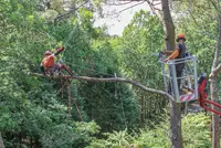 Sarl Raynal – Elagage & Travaux Environnementaux - Carnac