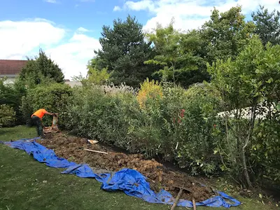 Paysagiste Cribos Élagage Carnetin 77 : Elagueur, Taille de Haie, Jardinier 77 Seine et Marne Idf