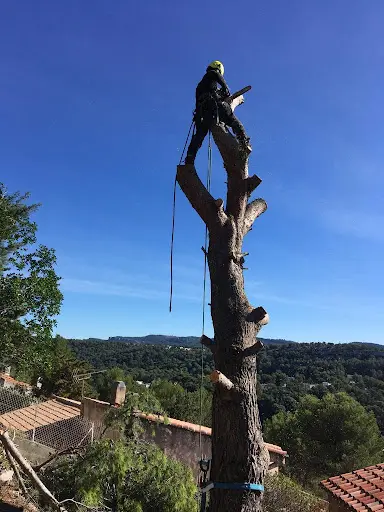Ozaru Elagage et Jardin