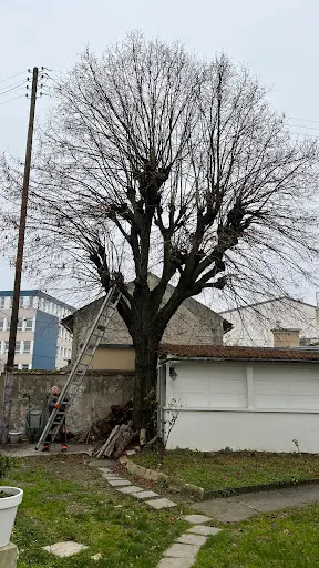 Zepp Élagage Entretien de Jardin