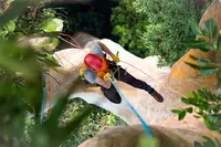 Lagrenee Elagage, Élagueur, Paysagiste 84