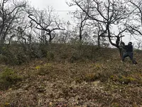 Les Jardins du Quercy - Élagage Abattages Tarn et Garonne