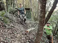 Les Elagueurs du Sud