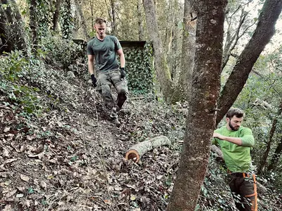 Les Elagueurs du Sud