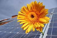 Five Sun S Eco Energy