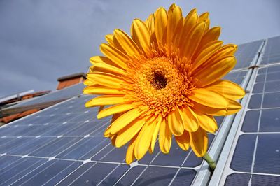 Five Sun S Eco Energy
