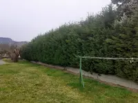 M.chalard Espace Vert