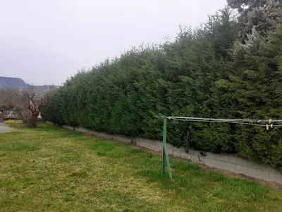 M.chalard Espace Vert