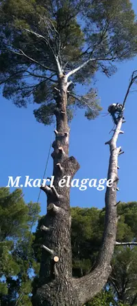 Monsieur Karl Elagage