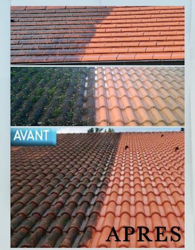 Nettoyage : Demoussage/toiture/chambéry 73 Réparation sur Toiture