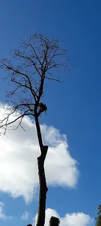 Arbre À Part