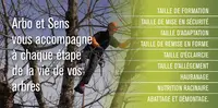 Arbo et Sens