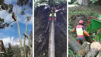 l'Ours des Arbres Parcs & Jardins Élagage Abattage d'Arbres Entretien d'Espaces Verts