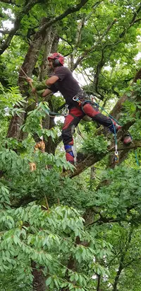 Jenouvrier Environnement