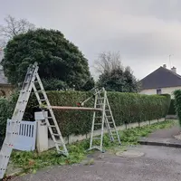 Breizh Elagage - Élagueur À Chantepie